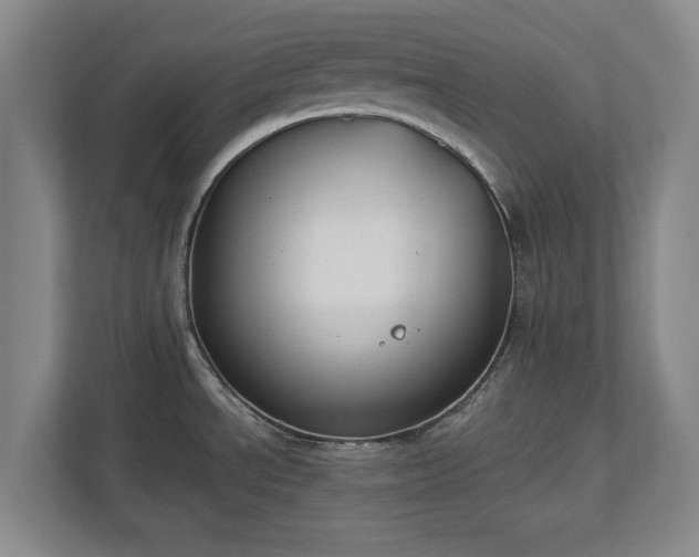X0000113061534200909041028