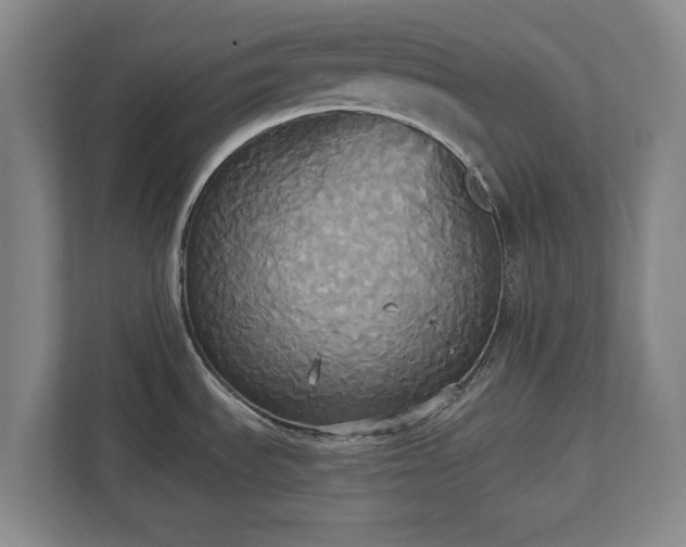 X0000113061535200909041028