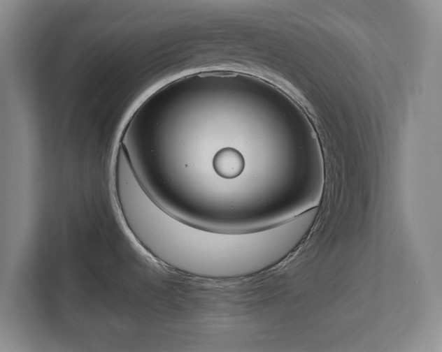 X0000113061536200909041028