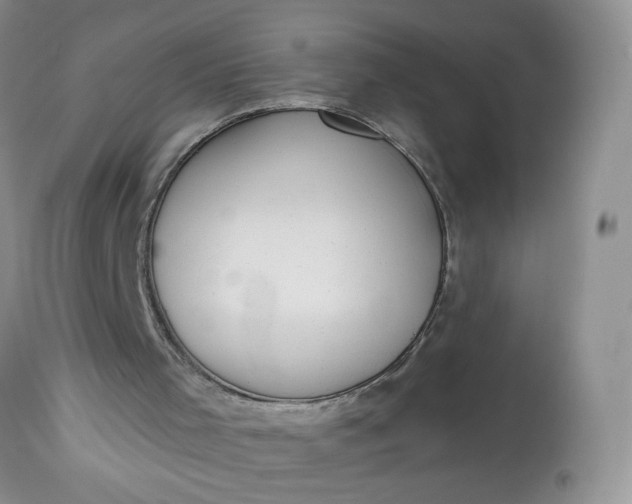 X0000113060001200909110927