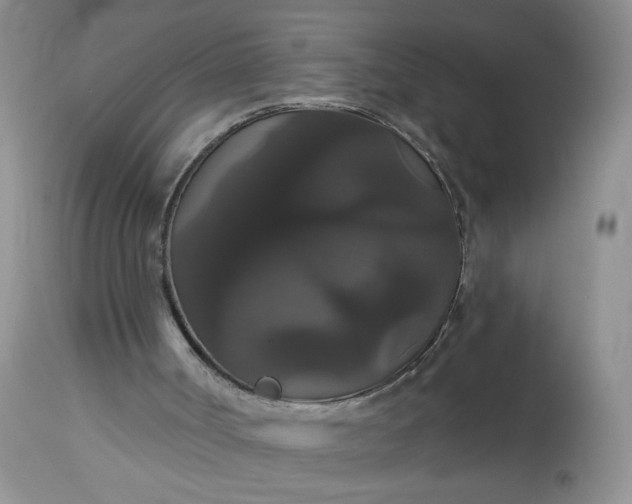 X0000113060002200909110927