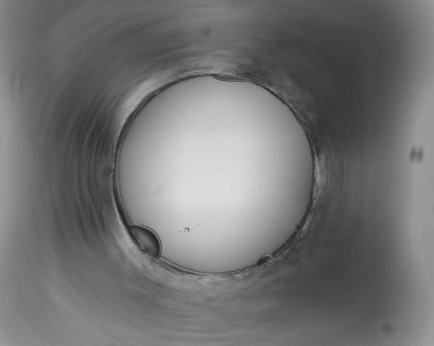 X0000113060003200909110927