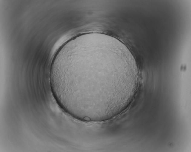 X0000113060004200909110927