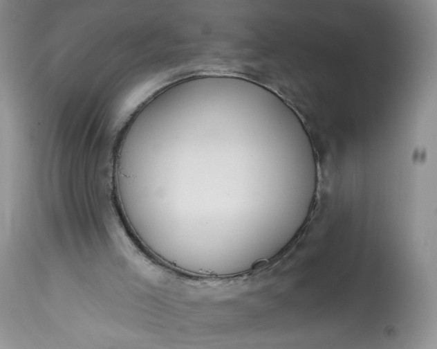 X0000113060005200909110927