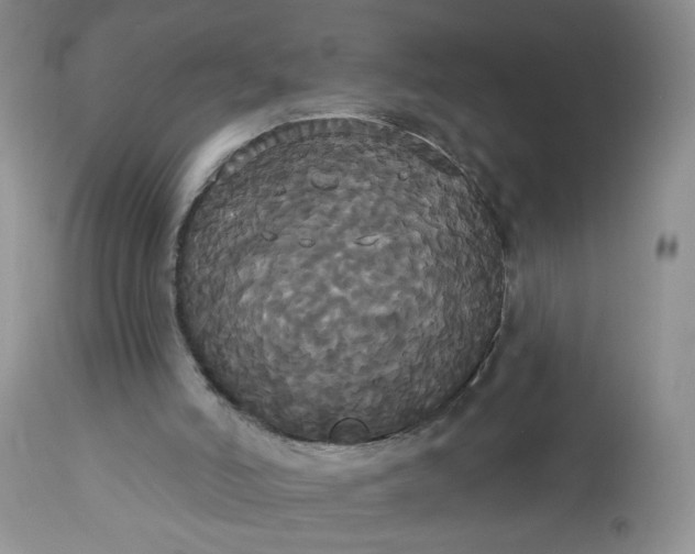 X0000113060006200909110927