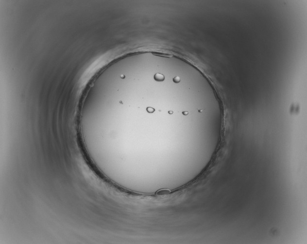 X0000113060007200909110927