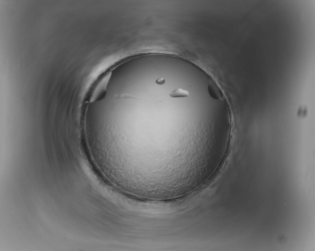 X0000113060008200909110927