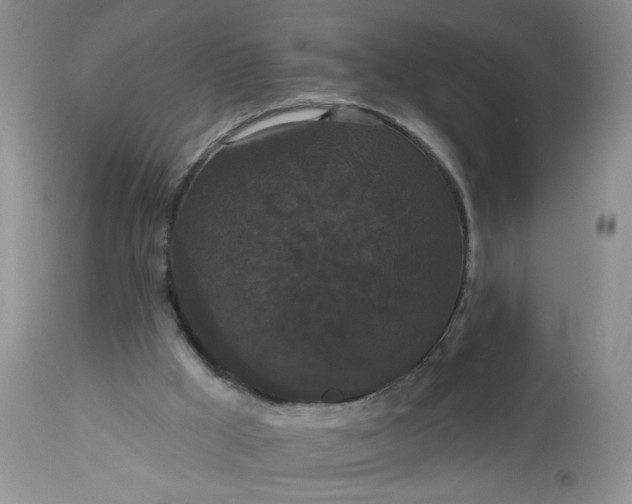X0000113060009200909110927