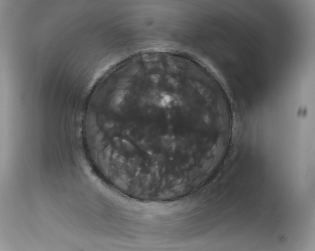 X0000113060010200909110927