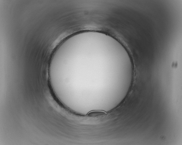 X0000113060011200909110927