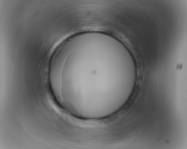X0000113060012200909110927