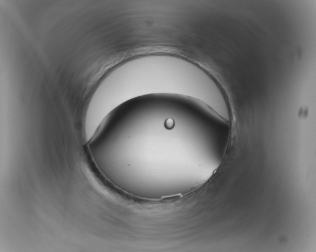 X0000113060013200909110927