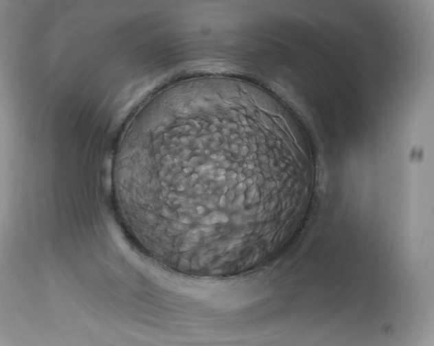 X0000113060014200909110927
