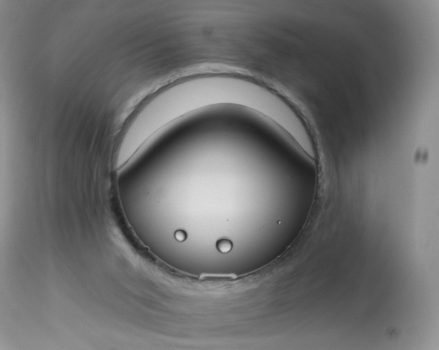 X0000113060015200909110927