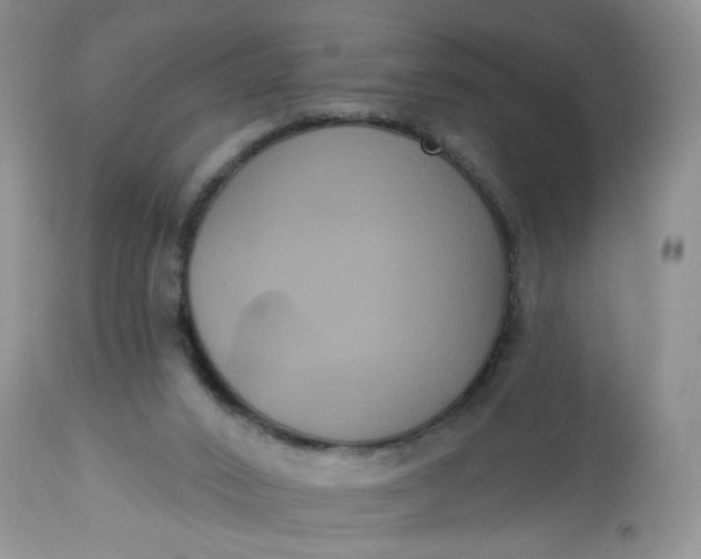X0000113060016200909110927