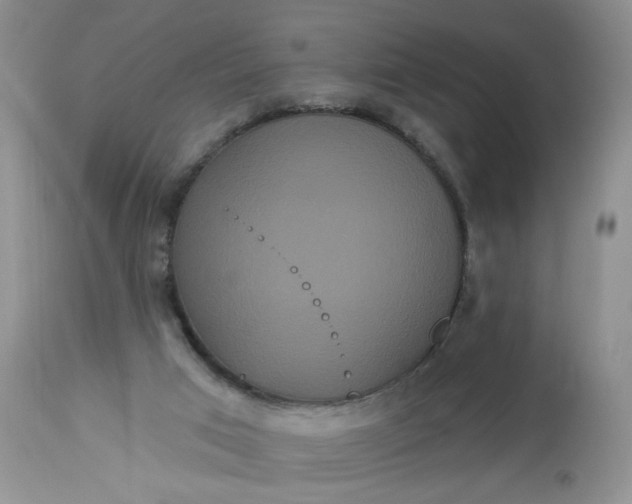 X0000113060017200909110927
