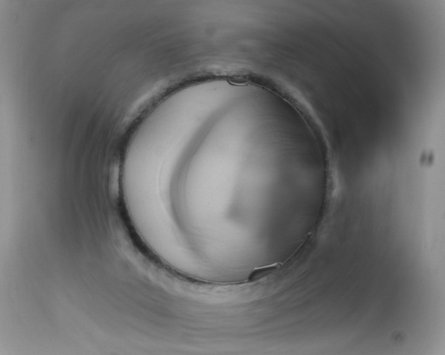 X0000113060019200909110927