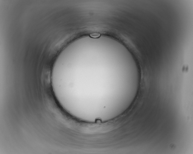 X0000113060021200909110927