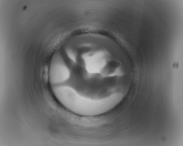 X0000113060022200909110927