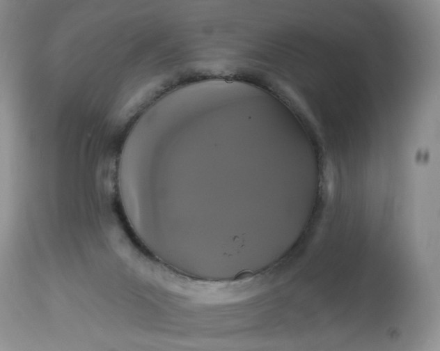 X0000113060023200909110927
