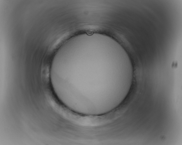 X0000113060024200909110927
