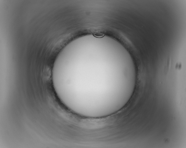 X0000113060025200909110927