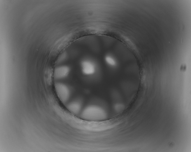 X0000113060026200909110927