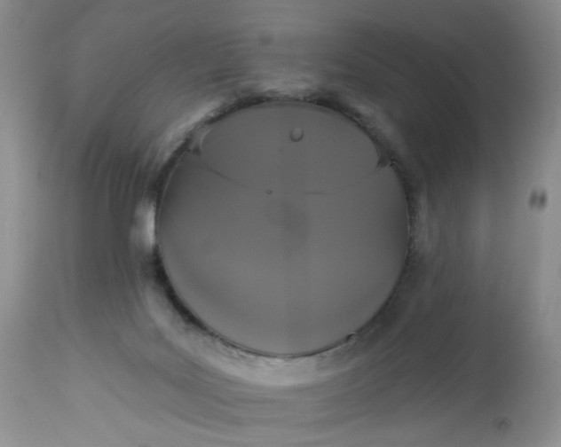 X0000113060027200909110927