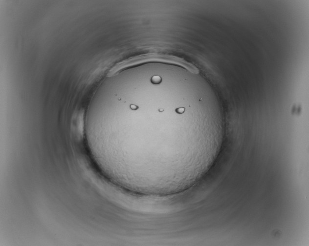 X0000113060028200909110927