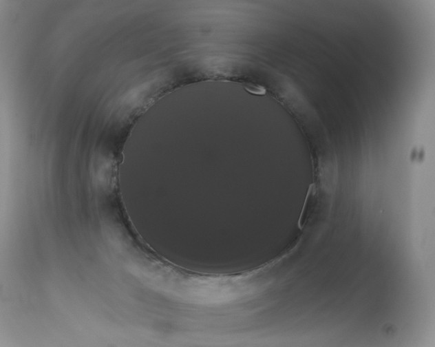 X0000113060029200909110927