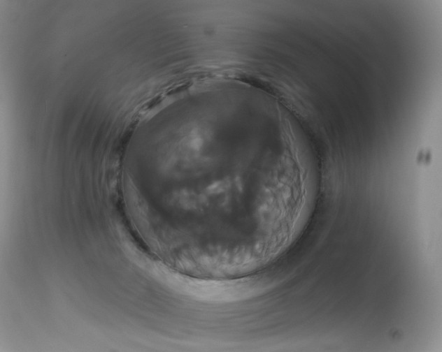 X0000113060030200909110927
