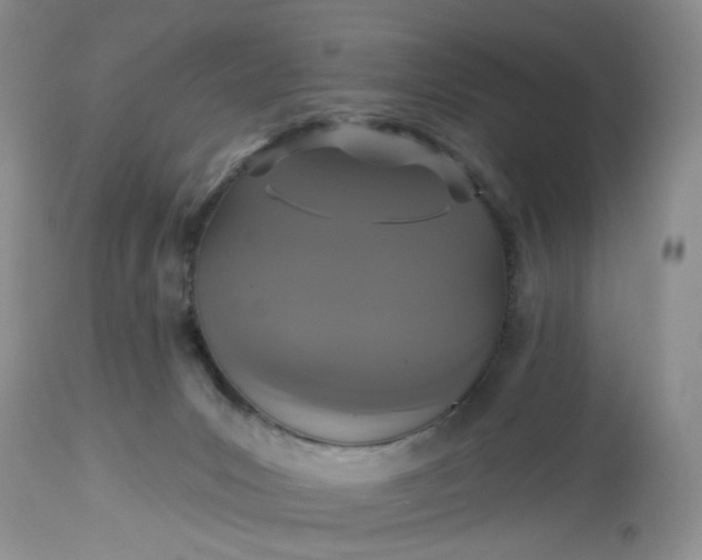 X0000113060031200909110927