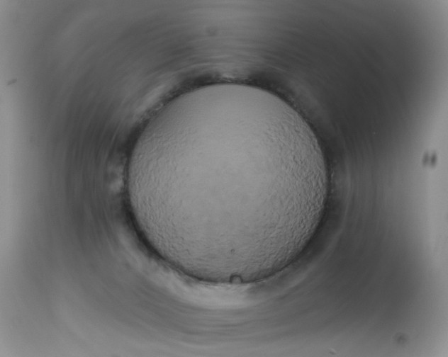 X0000113060032200909110927