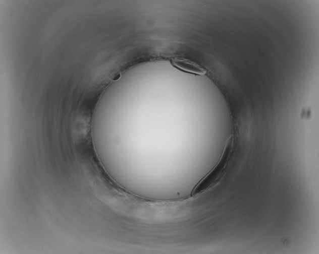 X0000113060033200909110927