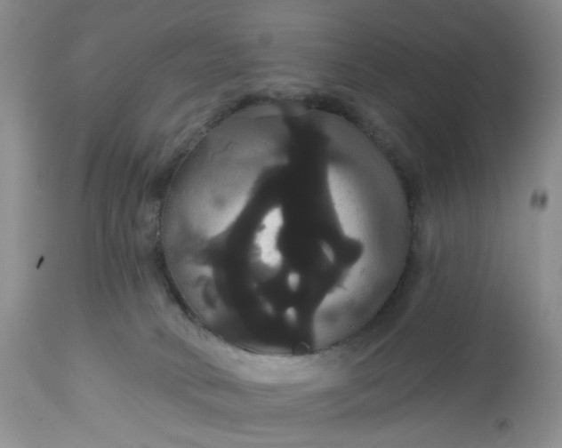 X0000113060034200909110927
