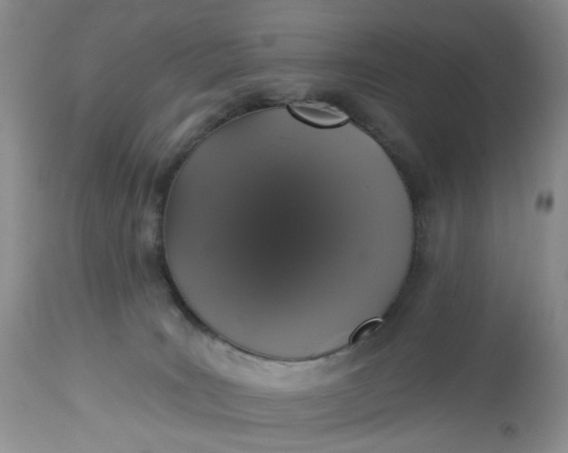 X0000113060035200909110927