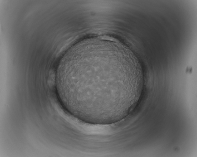 X0000113060036200909110927