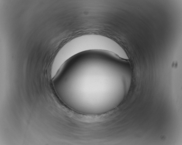 X0000113060037200909110926