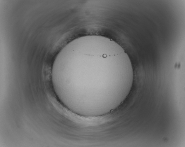 X0000113060038200909110926