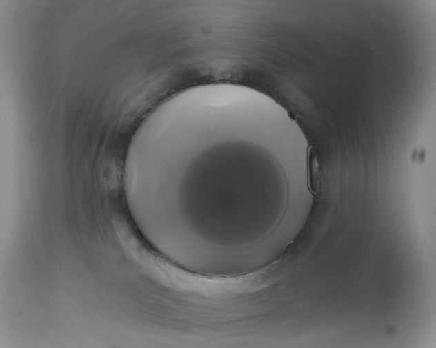 X0000113060039200909110926