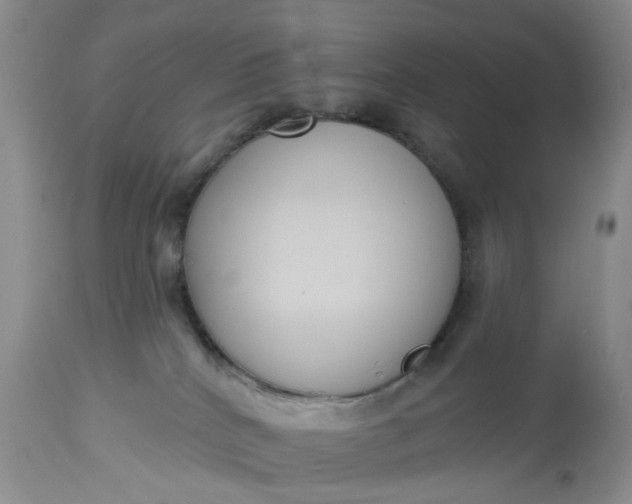 X0000113060040200909110926