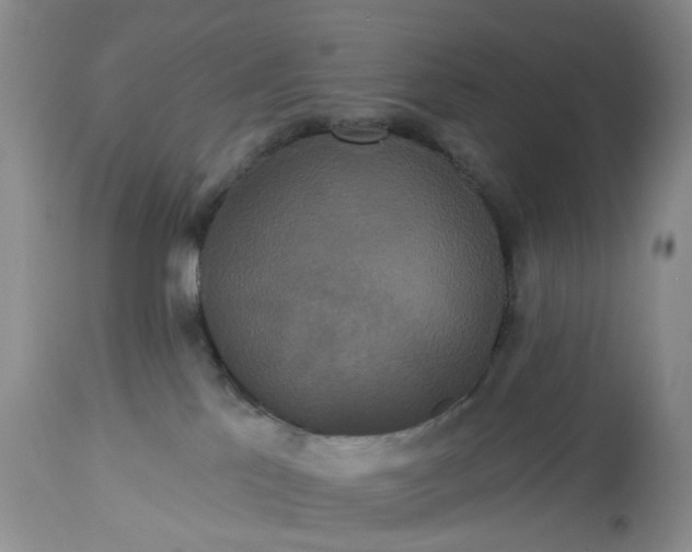 X0000113060041200909110926