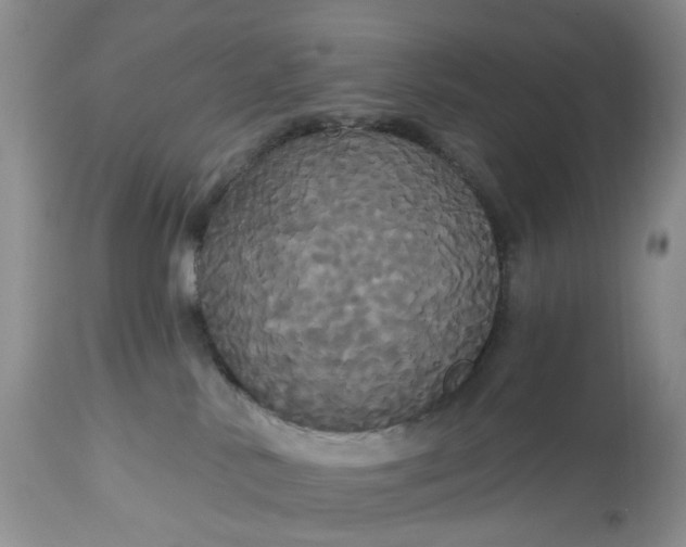 X0000113060042200909110926