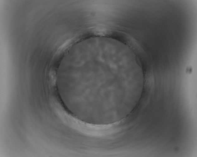 X0000113060043200909110926