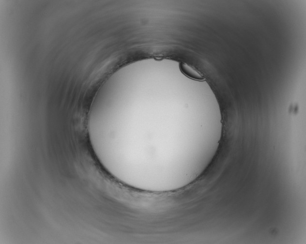 X0000113060044200909110926