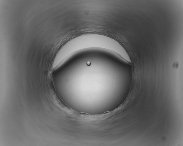 X0000113060045200909110926