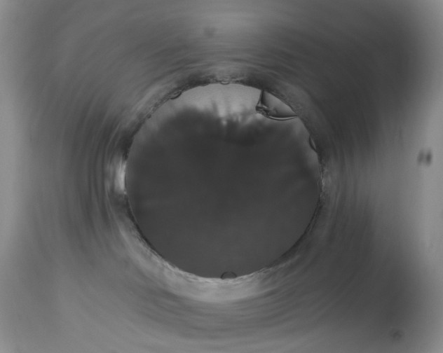 X0000113060046200909110926