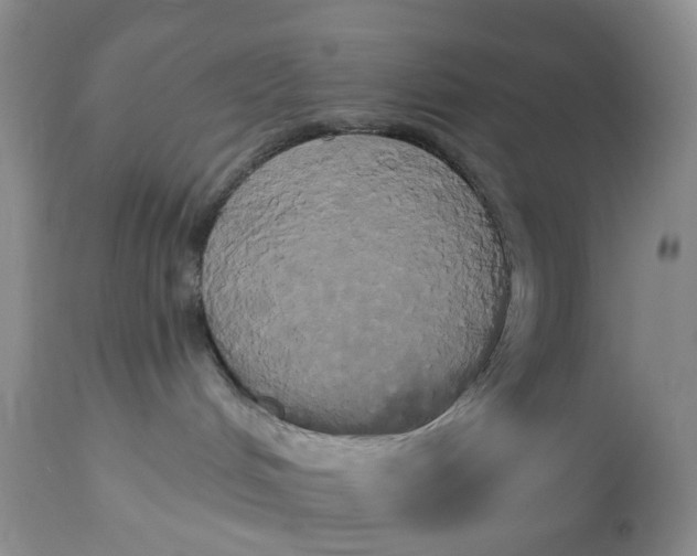 X0000113060048200909110926