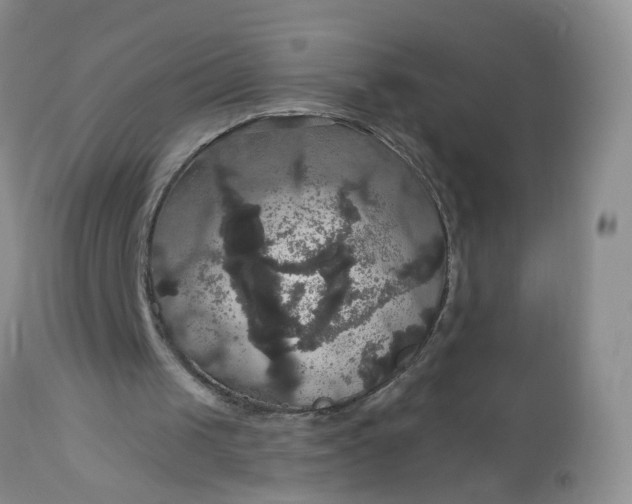 X0000113060049200909110925