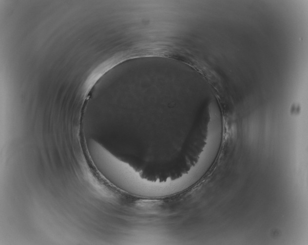 X0000113060051200909110925